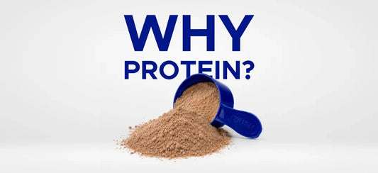 Why Protein?