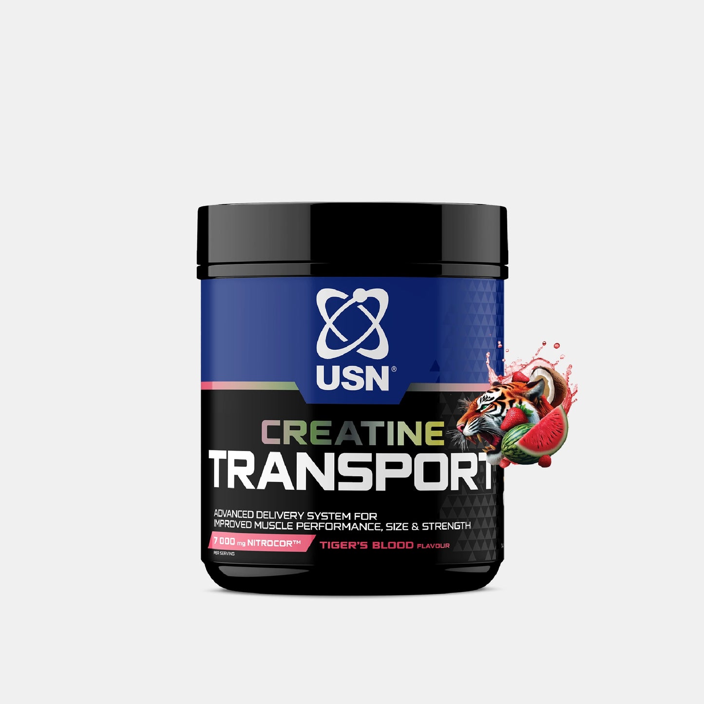 Creatine Transport